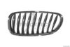 TRUCKTEC AUTOMOTIVE 08.62.219 Radiator Grille